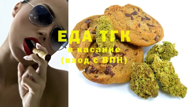 шишки Абаза