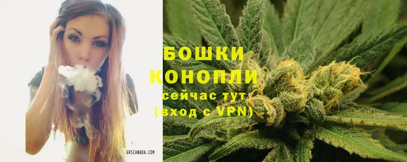 Каннабис THC 21%  купить наркотики сайты  Прокопьевск 